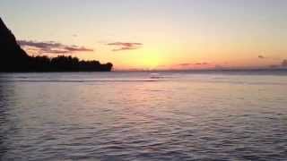 Kauai Beach Wedding Location Tunnels Beach [upl. by Allac]