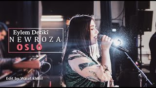 Newroz Oslo 21032019  Eylem Dêrikî  part 01 [upl. by Egas]