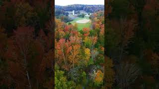 Chatham County Farm Fall Covers drone [upl. by Estas]