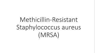 Methicillin Resistant Staphylococcus aureus MRSA  Microbiology [upl. by Yelsgnik882]