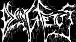 Dying Fetus  Grotesque Impalement Lyrics [upl. by Orferd]