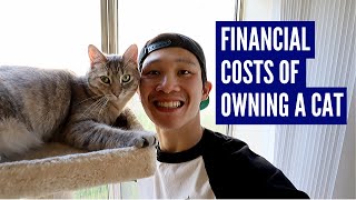 Financial Costs of Owning A Cat  Taking My Cats On Their Daily Walk [upl. by Volpe]