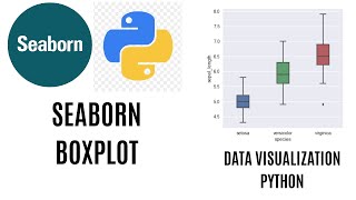 Boxplot in Seaborn  Seaborn Boxplot Python [upl. by Cattier833]