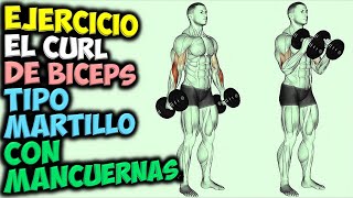 EJERCICIO 💪 El CURL De BICEPS Tipo MARTILLO 👉 Con MANCUERNAS  Ganar BRAZOS Musculosos [upl. by Dill]