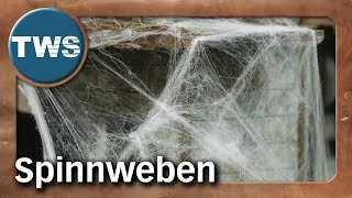 Tutorial Spinnweben amp Spinnennetze  basteln selber machen Halloween TabletopGelände TWS [upl. by Amihsat]