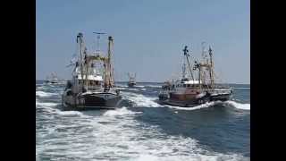 Brixham Trawler Race 2014  the finish [upl. by Noyahs693]