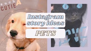 Instagram Story Ideas For Pets⎪Aesthetic amp Minimal [upl. by Kassi608]