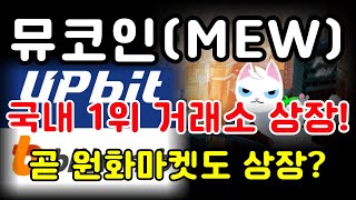 뮤코인 국내 1위 거래소 상장 곧 원화마켓도 상장 밈코인추천 캣인어독스월드 뮤코인 [upl. by Ahseia]