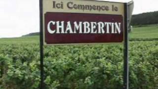 Gevrey Chambertin view with Wine amp Voyages [upl. by Sella938]