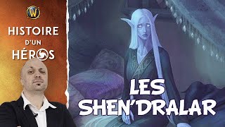 WoW Histoire des Shendralar et dEldreThalas Mages Elfes de la Nuit [upl. by Hazaki50]