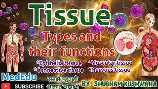 Tissue Types and their functions  EpithelialConnectiveMuscularNervous tissueHAP [upl. by Annora940]