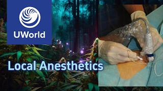 Local anesthetics  typesmechanismside effects  pharmacology USMLE Step 1 UWorld Questions MBBS [upl. by Uella]