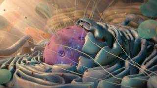 Incredible Animation Demo Reel  2011  Nucleus Medical Media [upl. by Eleph]