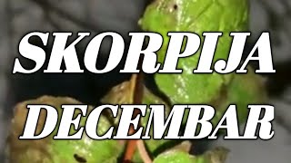 SKORPIJA HOROSKOP DECEMBAR 2024 [upl. by Wetzell]