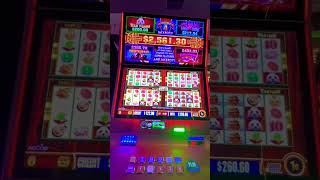 Wild Panda Progressive Jackpot and Big Win wonder4jackpots shorts slotmachine yaamava [upl. by Lekym]