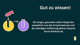 Enzyme Bauchspeicheldrüse Leber Rohkost Helmut Wandmaker Obst essen [upl. by Oivlis]