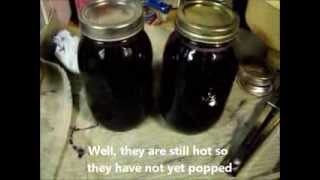 Canning Wild Grape Juice [upl. by Naihs]