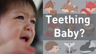 Do Teething Babies Need Medicine on Their Gums No [upl. by Axela]