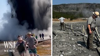 Watch Tourists Run From Hydrothermal Explosion in Yellowstone  WSJ News [upl. by Artinak91]