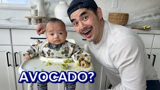 5 Month Baby vs AVOCADO  Day 1 of Baby Led Weaning [upl. by Edy]