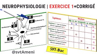 SVTBac Neurophysiologie Exercice 1  Corrigé [upl. by Favata]