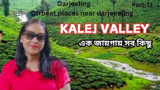 Darjeelingpart11Offbeat places near darjeelingOffbeat darjeelingDarjeeling offbeat places [upl. by Schroeder800]