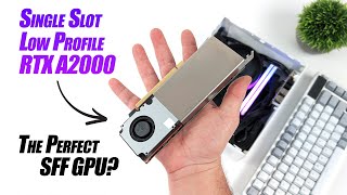 Single Slot Low Profile RTX A2000 The Perfect Small Foot Print GPU [upl. by Notsew]