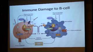 inflammation and anti inflammatory process in diabetes  Dr Ravikiran [upl. by Roumell242]