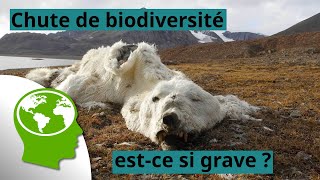 EP31 Crise de la biodiversité 6ème extinction de masse une menace pour les humains [upl. by Ecylla354]