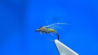 Fly Tying Antron Caddis Pupa  Hackles amp Wings [upl. by Haney65]