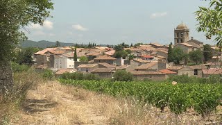 Le Minervois  rugueux et généreux à la fois entre Aude et Hérault découverte de La Livinière [upl. by Ettevey317]