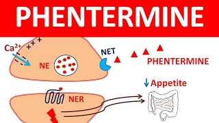 Phentermine for weight loss  What you should know [upl. by Haissi]