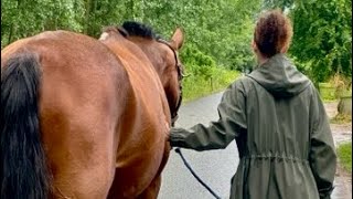 Séance de kinésiologie animale avec Esmeralda beauté au grand cœur ♥️ [upl. by Netsrik]