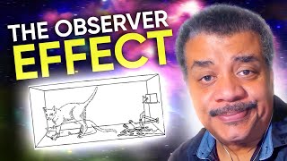 What is Schrödingers Cat  Neil deGrasse Tyson Explains [upl. by Norman629]