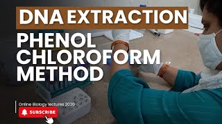 DNA extraction from Blood  PhenolChloroform method  Molecular biology [upl. by Nawak]