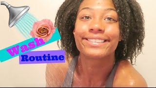 Natural Hair Wash Routine Start to Finish [upl. by Gratia965]