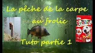 PECHE DE LA CARPE AU FROLIC TUTO PARTIE 1 [upl. by Airetnahs]