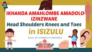 Ikhanda Amahlombe Amadolo Izinzwane Amehlo AmadlebeUmlomo Nekhala Head ShouldersKneesToes [upl. by Eerdua]