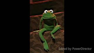 kermit the frog halfway up the stairs [upl. by Nnahgem810]