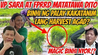 LAUGH TRIP MUNA VP SARA AT FPRRD MATATAWA DITO SA MAGIC BINHI NI NGAGBA😁 duterte dds bisdak [upl. by Gualtiero]