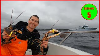 Hauling the lobster pots Fishing in Norway Hummerfiske i Kristiansand [upl. by Miza570]