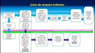 Procedimiento del juicio de amparo indirecto [upl. by Cofsky]