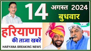 14 August 2024 Haryana News  हरियाणा की ताजा खबरें  Haryana Live News  CWB Hindi News [upl. by Iliam]