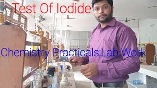 Chemistry PracticalsTest of IodideSalt Analysisacid basic radical testLab visit [upl. by Laurella567]