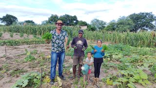 VISITANDO A HORTA ORGÂNICA ENCONTREI A DORINHA E O ZÉ TRABALHANDO E PRODUZINDO NO SERTÃO [upl. by Sibyls]