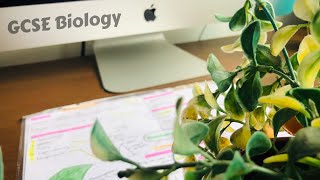 How to get a 9 in GCSE Biology with resources [upl. by Nnaillij]