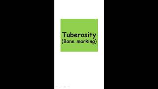 Tuberosity Bone marking [upl. by Zarla638]