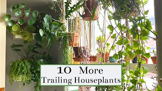 10 More Trailing Houseplants [upl. by Annazor]