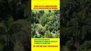 Finca de 31 tareas Sembrada de Frutales en San Ant de Guerra inmobiliariabritoyasociados [upl. by Katine]