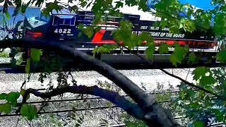 TheTREECAM in Altoona Pennsylvania TRIPLE Norfolk Southern Lines [upl. by Nowed]